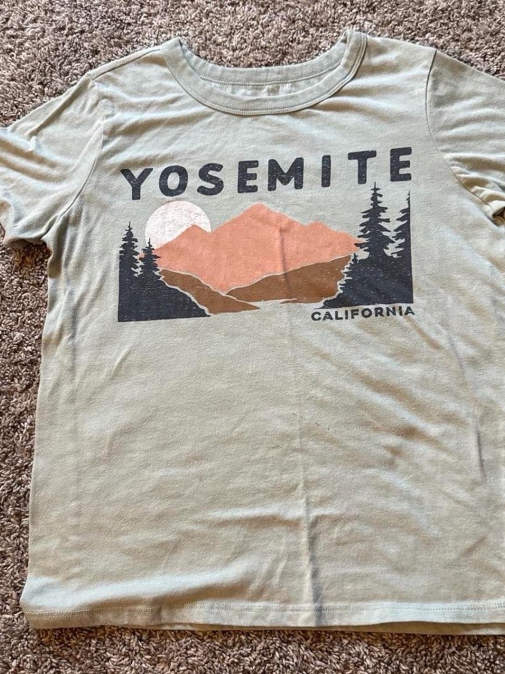Target Yosemite Graphic Tee in Sage, Peach & Brown